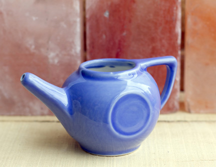 Blue SO Well Neti Pot