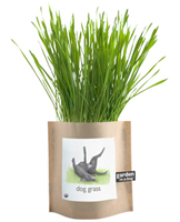 Organic Dog Grass Garden in a Bag Organic Dog Grass Garden in a Bag