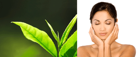 Natural Face Toners by So Well