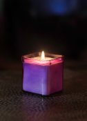 So Well Lavender Soy Candle So Well Lavender Soy Candle