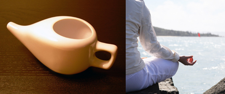 SO Well Neti Pots