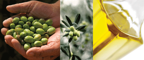 So Well Organic Olive Oil